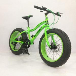Quality Private Label Snow Sand 4.0 Fat Tyre Electric Bicycle wholesale