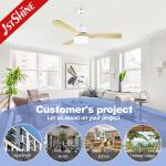 Wall Control Eco Silent Dc Ceiling Fan Three Color Wooden Blades