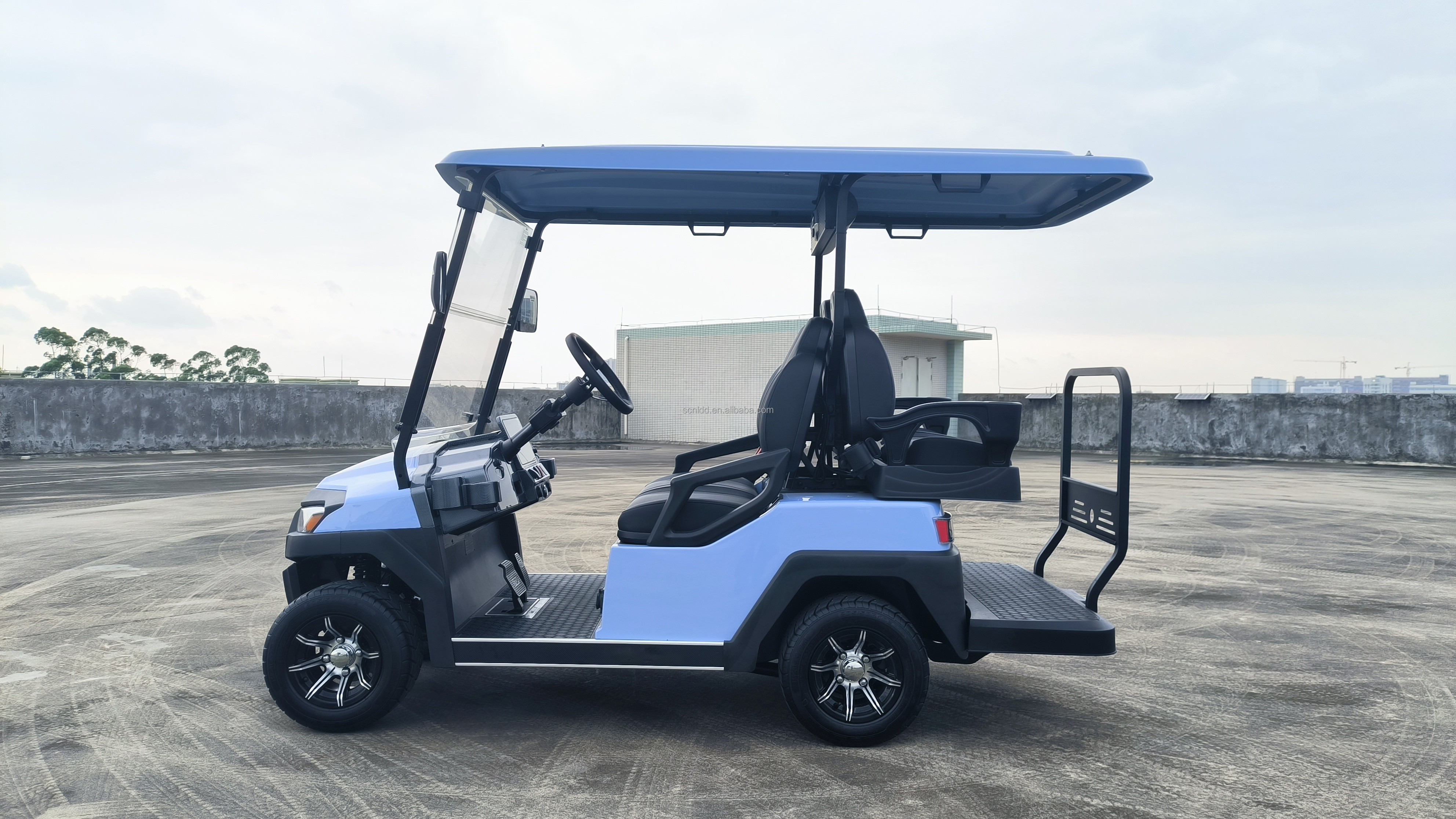 2 4 6 Seat Electric Lithium Battery Sightseeing Golf Cart Golf Buggy Car with DOT Comfortable and Spacious