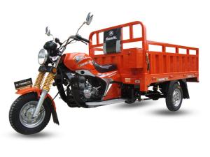 Quality Motorized Three Wheel Cargo Motorcycle Venta Caliente Triciclo Pedal Adulto wholesale