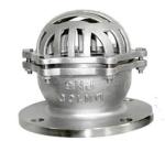 PN25 Stainer Flanged Foot Valve 3'' Stainless Steel For Water Pump