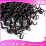 wholesale high quality virgin hair curly wave lace closure
