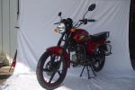 50CC 100CC Street bike professional motorcycles for Russia