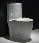 Top Flush One Piece Elongated Toilet With 11 Inch Rough In Slowdown Seat Cover