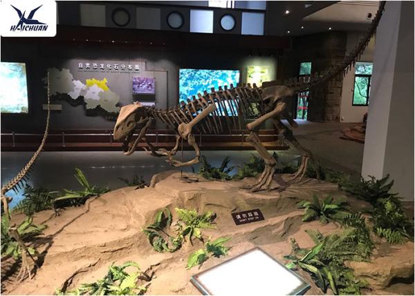 Playground Indoor Artificial Dinosaur Skeleton Replica Life Size Fiberglass