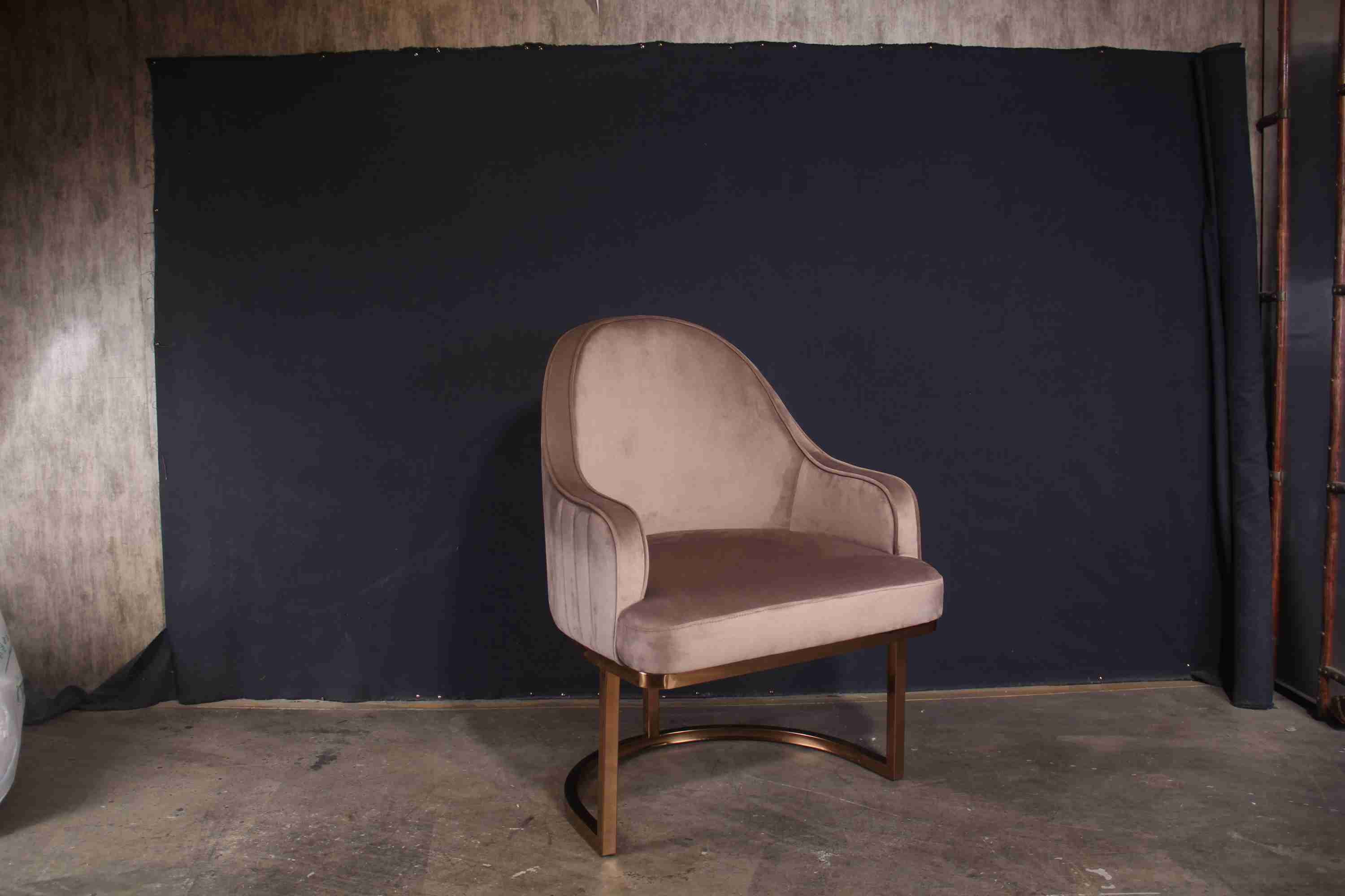 Nordic Low Back Padded Dining Chairs Ins Style Coffee Modern Luxury Restaurant Chairs Leather