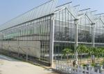 Agricultural Glass Greenhouse For Tomato Lettuce And Strawberry Growing