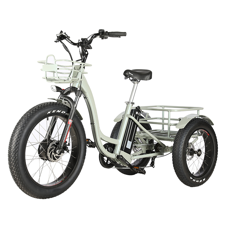 Aluminum Alloy Frame 48V 500W 3 Wheels Electric Cargo Tricycle with 24"x4.0 Fat Tires