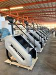 RoHS Cardio Stair Climber Step Machine Gym 200kg