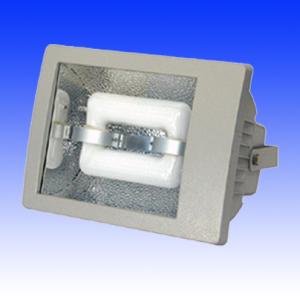 Quality LVD Floodlights| Low-frequency induction lamp |Outdoor lighting wholesale