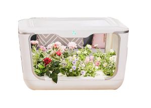 Quality Vegetables Crops LED NFT Indoor Hydroponic Systems wholesale
