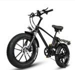 18Ah Lithium Battery Electric Hybrid Bike 750W 20 Inch Fat Tire Mountain Ebike