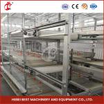 5 Tiers Layers Chicken Cages With Stainless Steel Wire Rose
