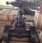 A105N 1500LB ANSI forge gate valve manufacturer
