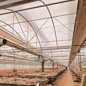 Quality Vegetable Production Po Film Greenhouse with Water Pipe System and Low Shipping Cost wholesale