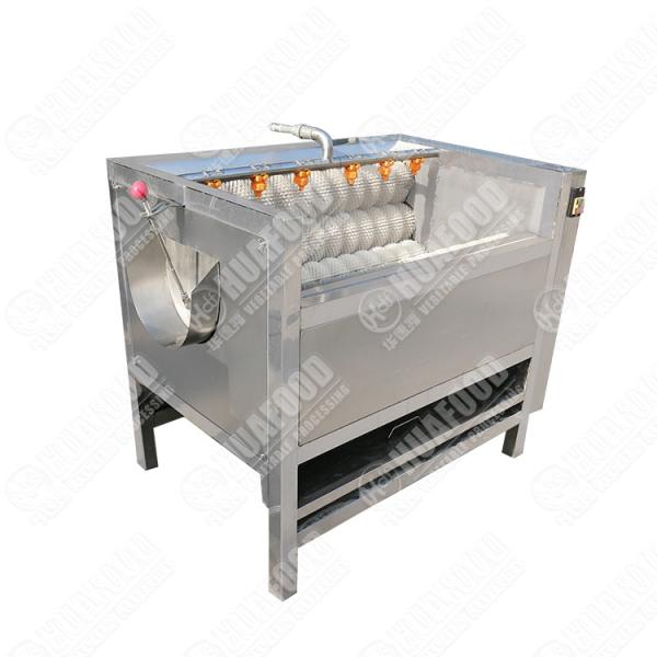 Washing Machine For Dates Hot Sale Dry Date Palm Washing Cleaning Machine Palm
