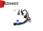 24079-24U10 24079-RHR30 Ignition Coil Pack Harness For BCNR33 Nissan Skyline GT