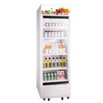 Commercial Glass Swing Single Door Upright Showcase Cooler White Black 250L