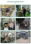 Double Screw Corn Puff Snack Food Extruder Machine Stainless Steel