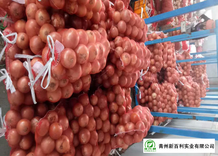 Big Size Fresh Yellow Onion Vacuum Packing Peeling Sell To Supermarket