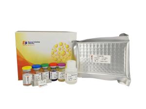 Quality 96 Wells Mouse Elisa Kit , High Precision / Sensitive Resistin Elisa Kit E0263mo wholesale