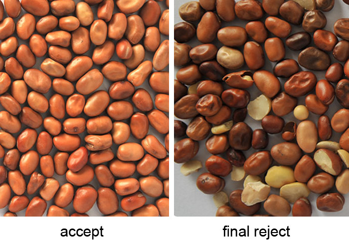 High Sorting Accuracy White Bean Color Sorter Sorting Machine For Bean Separating