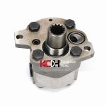 AP2D36 DX80 307 Gear Pump Assembly