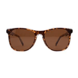 Quality OEM Round Acetate Sunglasses Oversized For UV Ray Protection wholesale