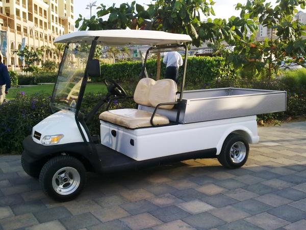 Electric 48v transportation Utility Golf Cart With Silver Aluminum box For
