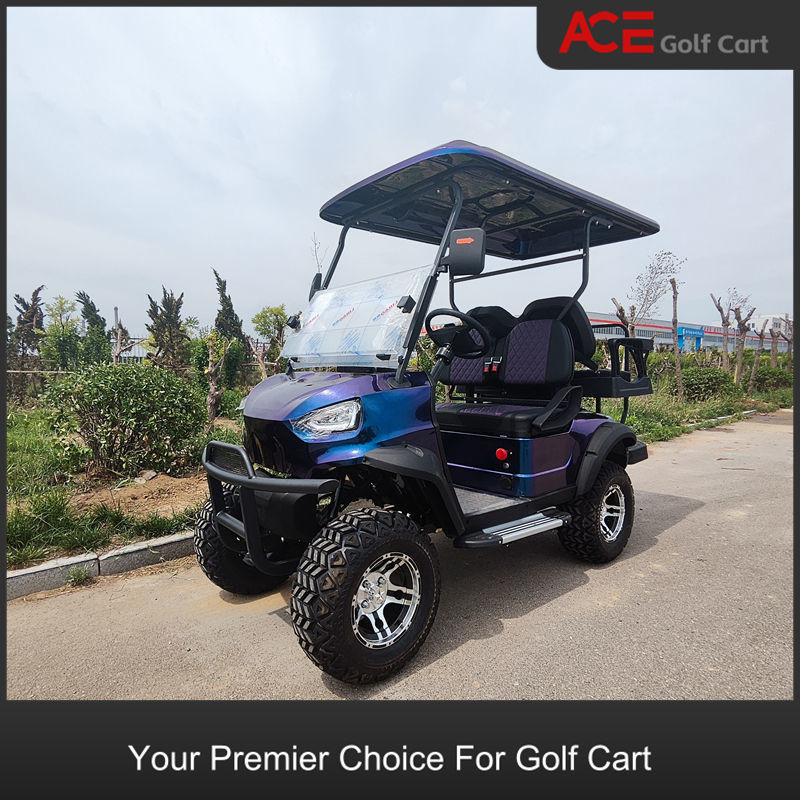 4kw Motor Motorized 4 Seat Golf Cart 80km Range 12 Inch Electric Tour Car