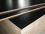 film faced plywood/Cheap price construction playwood / high quality marine
