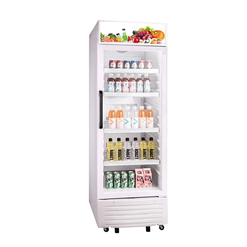 220 - 240V Upright Showcase Cooler With Power Supply 310L Beverage Display Chiller