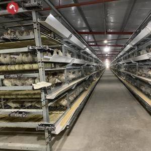 Quality Galvanized Steel Broiler Poultry Farm Equipment H Type 10000 Birds Battery Broiler Poultry Chicken Cage wholesale