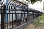 50X50mm Picket Top Tubular Steel Fence Black Or Customize