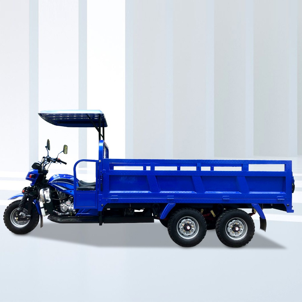 5.00-12/5.00-12 Tyre DAYANG 300cc Double Rear Axle Motorized Tricycle for Heavy Loads
