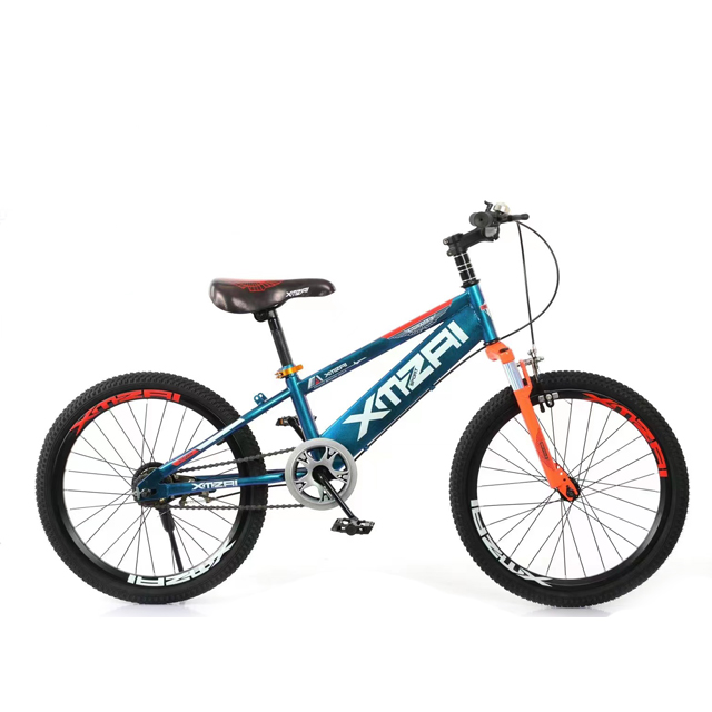 20 Inch Mountain Bike Equipped with Shock-Absorbing Front Fork and 25T High Knife Rim