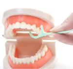 Individual Silk Tooth Dental Floss Pick Teeth Extra Strong Dental Floss