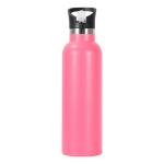 17oz Kids Insulated Stainless Steel Water Bottles With Straw Lid Double Wall