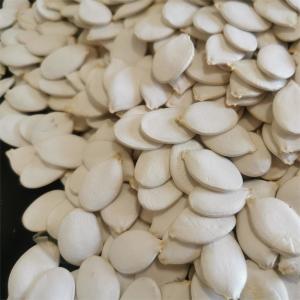Quality Moisture 7%max Top Grade Snow White Pumpkin Heads for Your Requirements wholesale