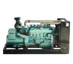 Factory directly sale CNG natural gas generator 30KW
