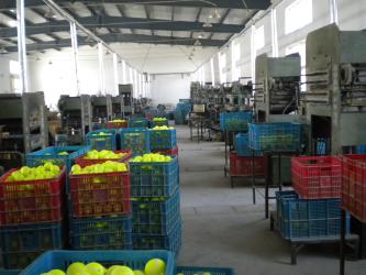 ANHUI PENGFEI SPORTING GOODS CO.,LTD