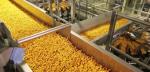 Large Capacity Corn Snack Extruder Machine High Speed Puff Food Production