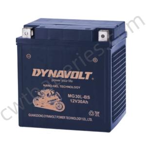 Quality 12V 30Ah Recreational Vehicle Batteries 125CC Four Wheeler Battery DYNAVOLT MG30L-BS-C wholesale