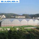 200 Micron PE Film Multi Span Greenhouse Structure / Polyethylene Foil