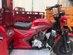 Standard Size Motorized Tricycles 800kg Loading Capacity for Your Business Needs