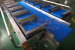 30WPM Frozen Food Packing Machine