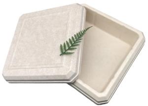 Quality 45*45*25MM Beige Color Sustainable Bagasse Box Lightweight EcoPack Accessories Custom And Reusable For Eco-Conscious Packaging wholesale