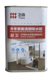 Toilet Waterproofing Polyaspartic Polyurea Coatings