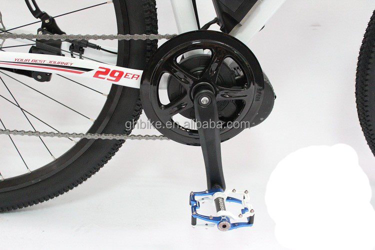 High Capacity 29" 1000W 48V 17Ah Lithium Battery Electric Mountain Bike for Adult Men