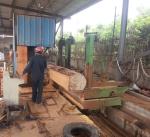 MJ3210 Vertical Woodworking Bandsaw Mill With Electric Log Carriage